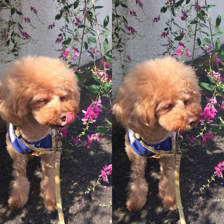 A26fb3e5 892c 4942 b2cf 2ee2d09e5ab3