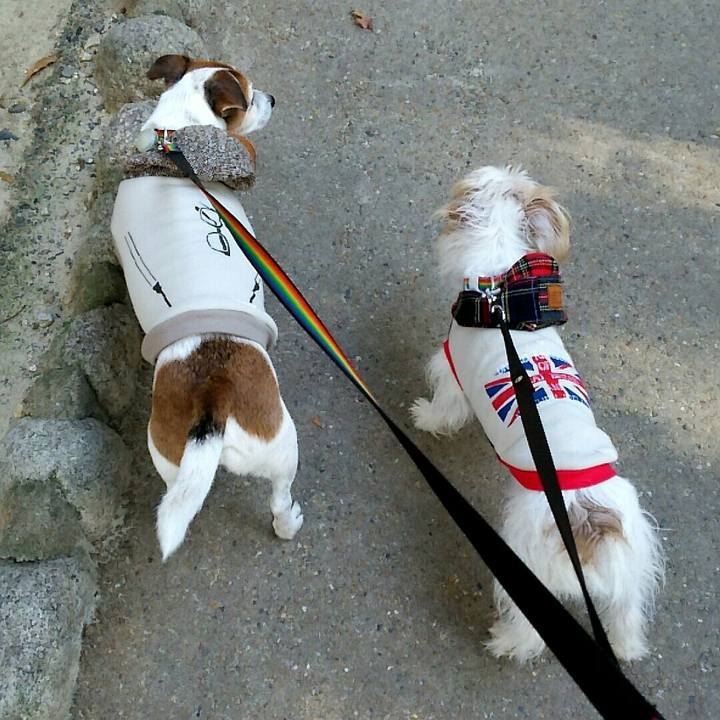 A27115f4 8175 46a2 9a9e 33dfc714421f