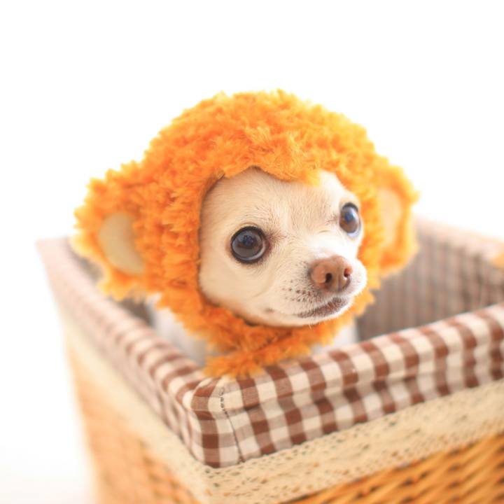 A2714af6 e60f 45d5 8065 7169e806b567