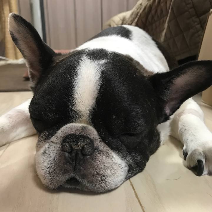 A27160f8 9c20 4fd7 bf50 b14f27ae8552