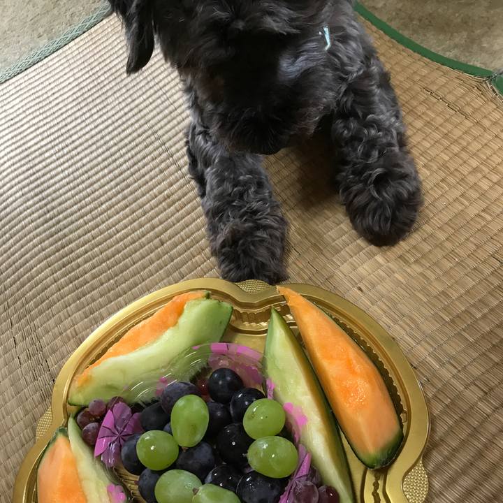 A271761c a3ef 497b 8a5a a191b0cb36dc