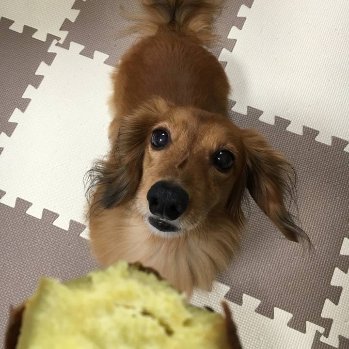 A2720710 2e04 4b10 8ac9 4e2c8a45f2d4