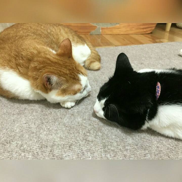 A2736318 1953 40d1 bd02 26304d45f329