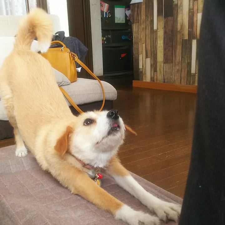 A273a57d 728a 4339 ad5b 3f6eb8737925