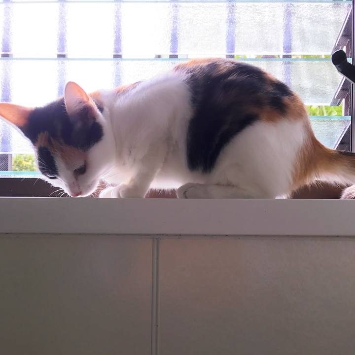 A273b52c 336e 45c5 9b33 1f3e55a986dc