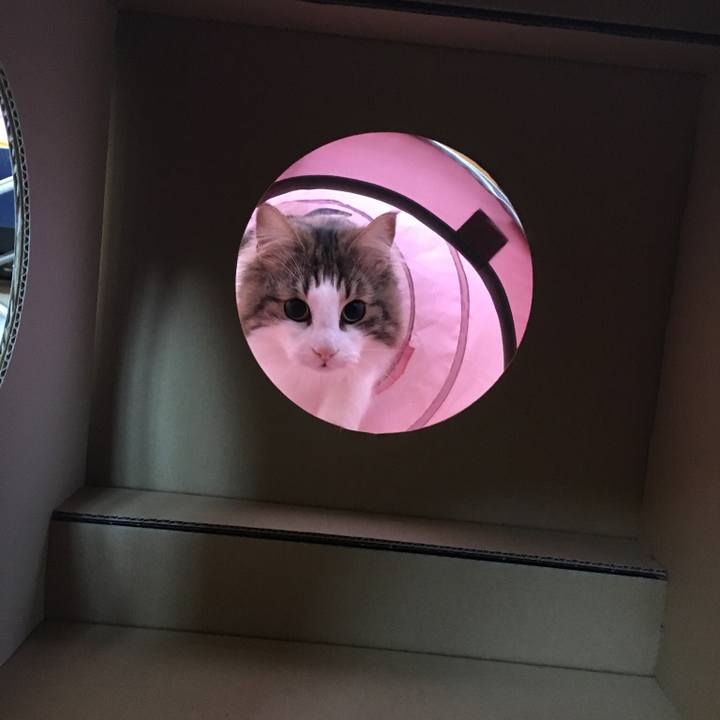 A273fb87 dac3 4cf4 b883 2c208e6f4fd7