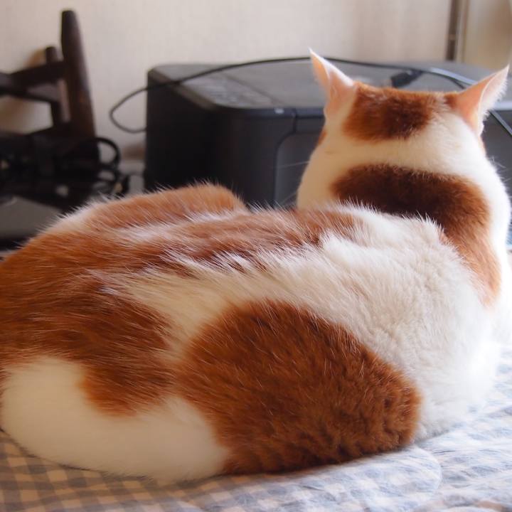 A2746bed 0152 4885 b11e a15b0122d0bb