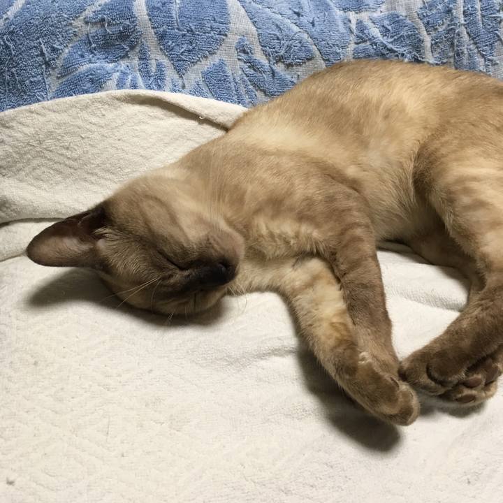 A27519b2 10dd 47bd 987d 0939a3c4d1c7