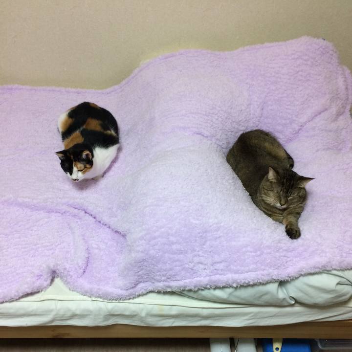 A2752701 357c 4a39 bab2 d67b8b83012e