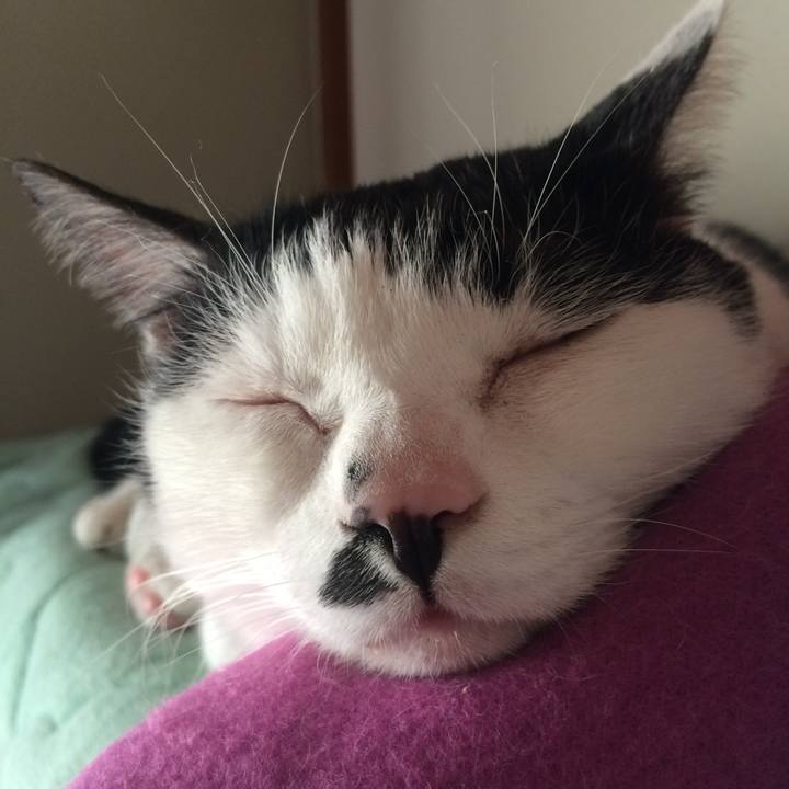 A2754dd7 6559 4af8 a13d fce434a7a5ff