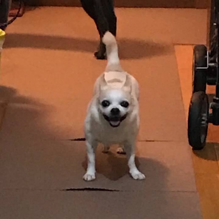 A2756e41 fb73 479a bd5c 22875dcc8037