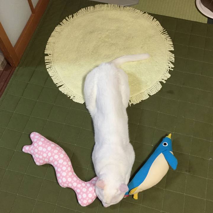 A275705f f01f 465b 982a ff0e924e11e9