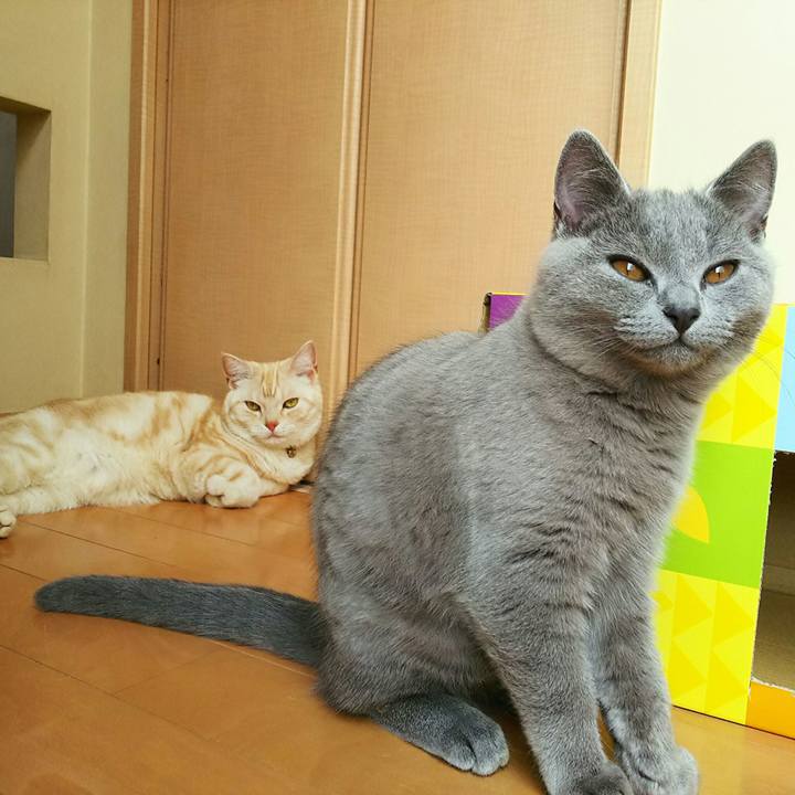 A275a8b1 c9f2 4964 a400 fe59696a627d