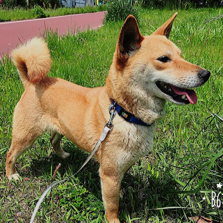 A2761e4c 18d3 4a44 94c7 686653e05d39