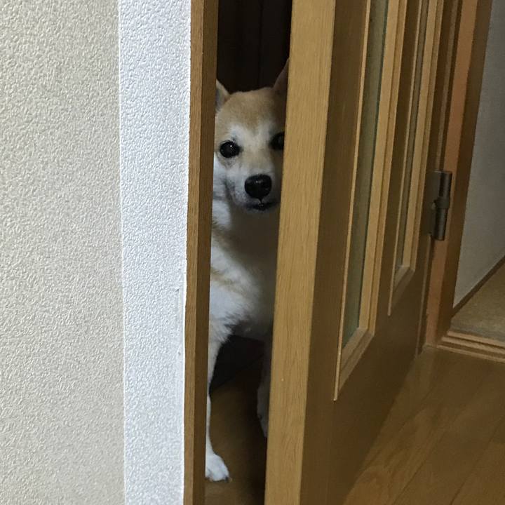 A276698b ffbc 4cc8 90a8 51f2eced3689