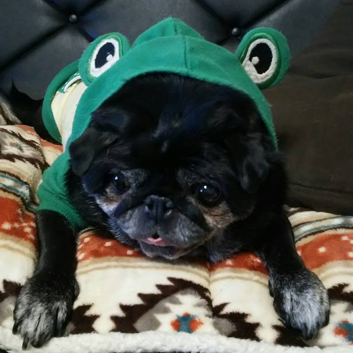 A27731c0 e21c 48dd aa49 0024b1bbcb77