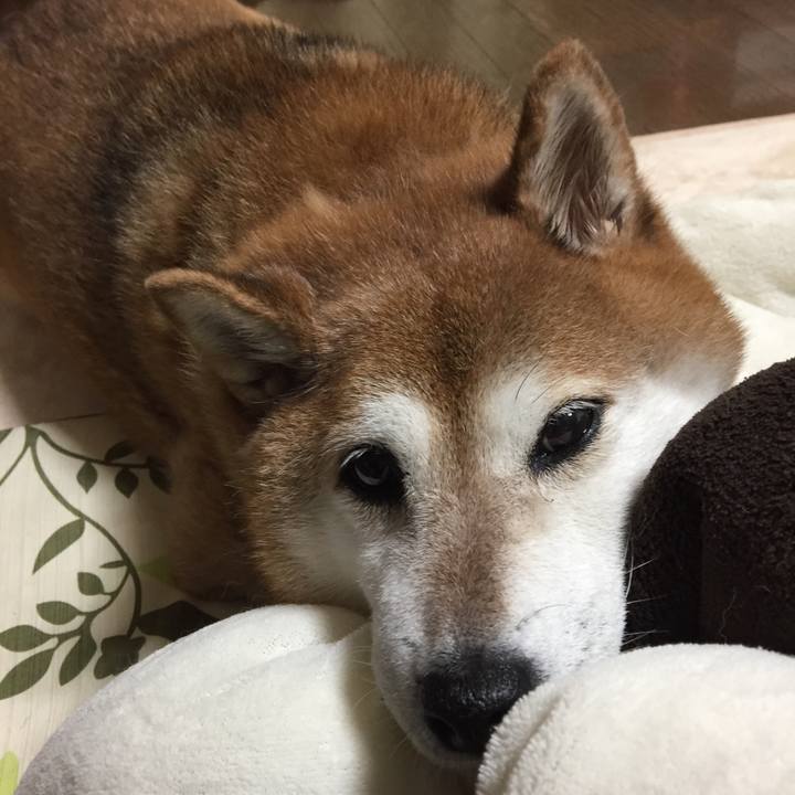 A2773f78 2560 4211 a3fe 9701afb152a3