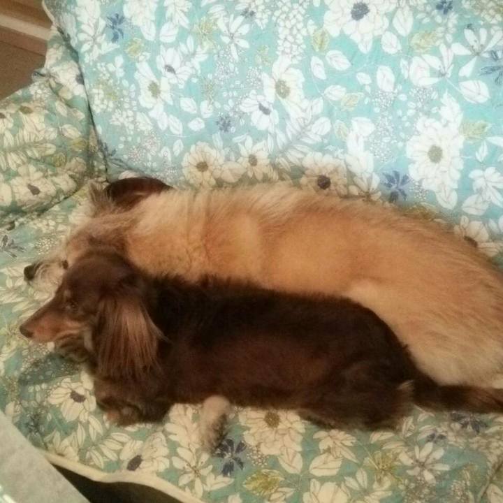 A277a62e 57e1 4bd2 bb04 5c6b0b799fb5