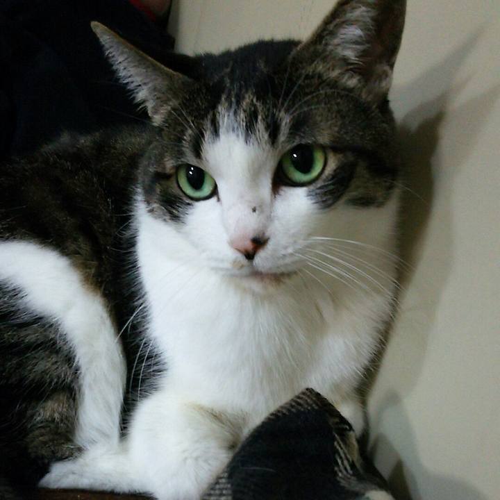 A2783142 e099 4e2d 9e6d e2b6d02c2ce7