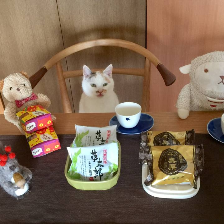 A2789367 549b 42bd b7d7 e423590d6bc0