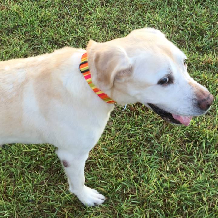 A278bdfa bd0b 4e0a 9e34 6b674cdfd91b