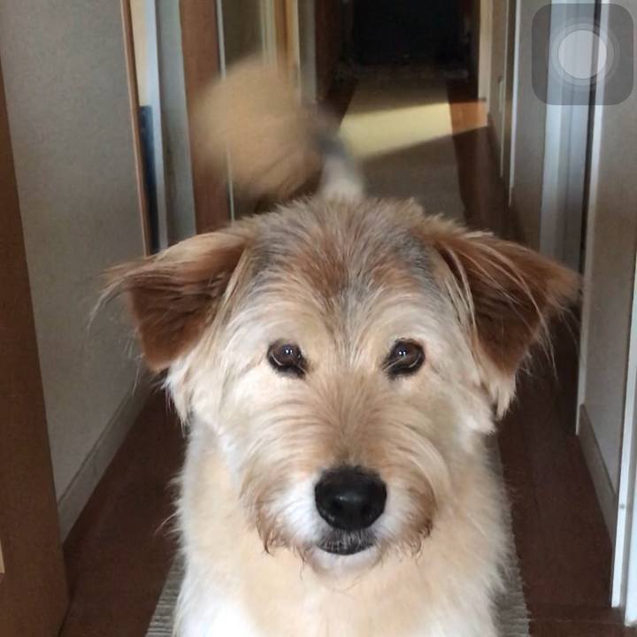 A27928ab 4c7e 45d2 8bc3 e3bf274cfcfe