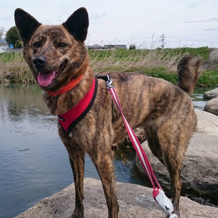 A2798c3a 83c5 4e3c a566 dd4e19febc34