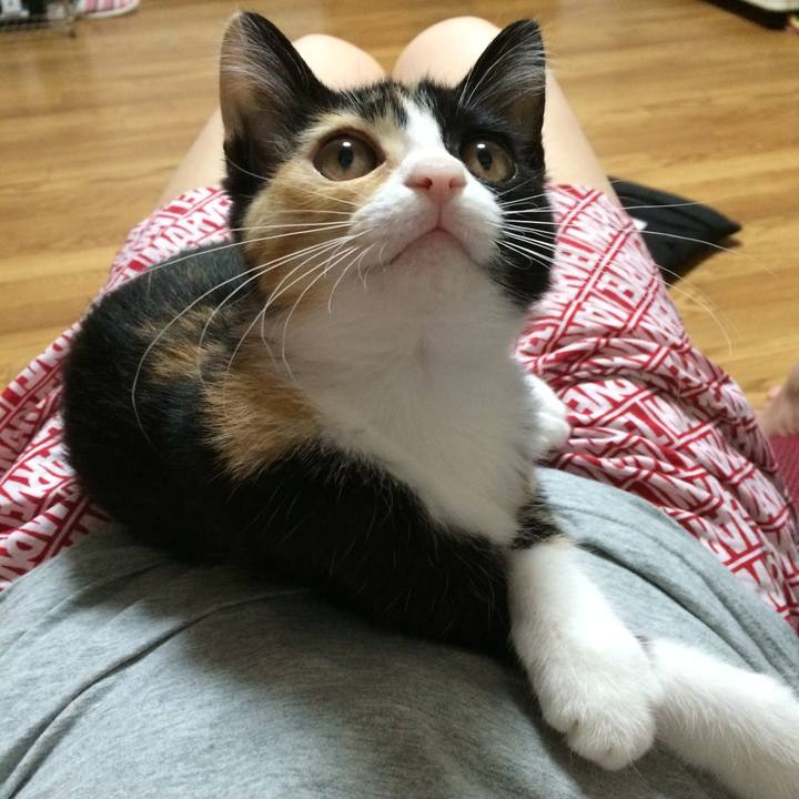 A279b657 767d 4806 9d11 113fc409e4d6