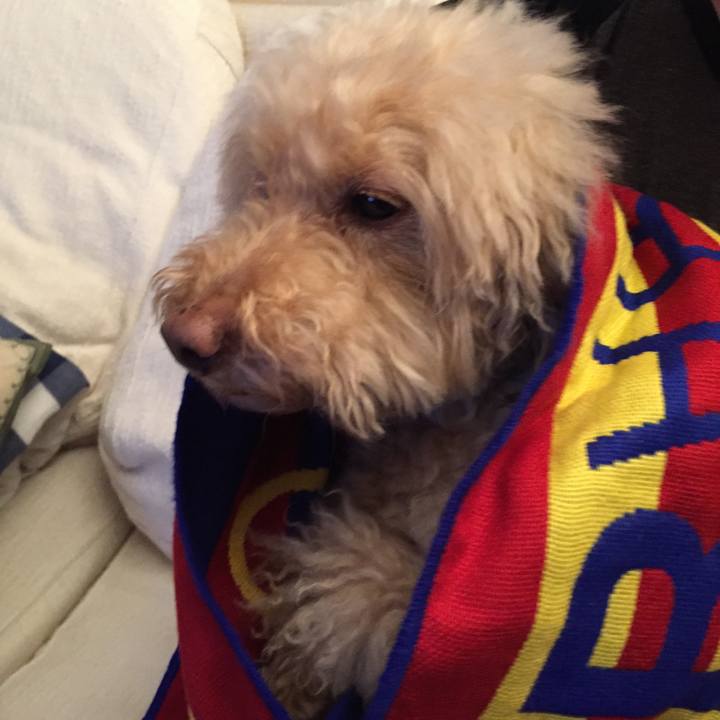 A279fe2f 464c 4dc8 8ff0 1bc4a5c4574e