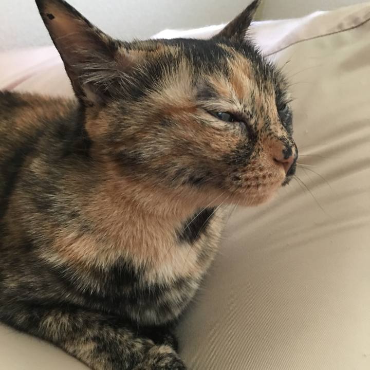 A27a3791 a68c 4e8a a97f ad9c8eb781a4