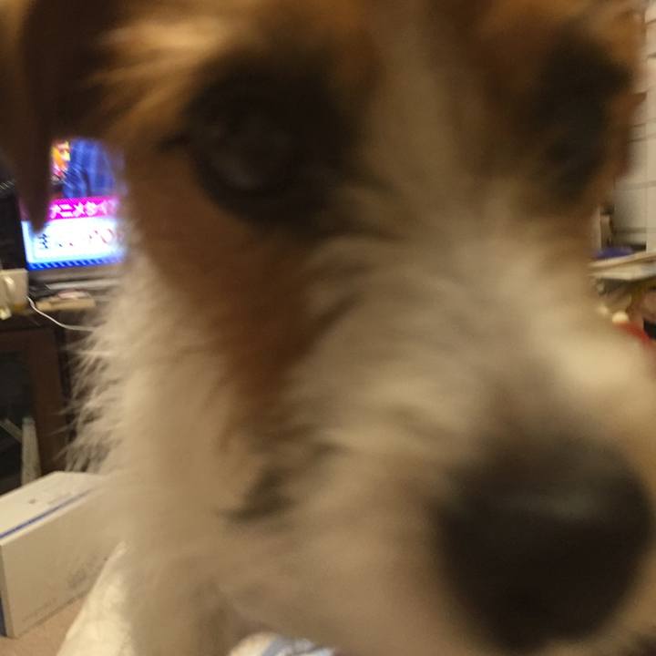 A27a6a12 c9fe 447b a4d5 f1ec4bd47f3d