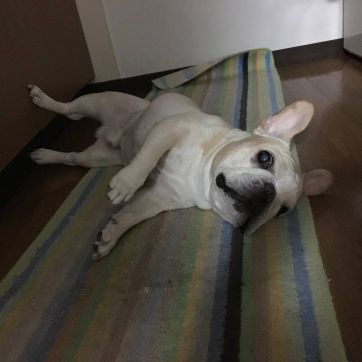 A27a6b94 3aa7 47a8 99cf a8e56c5d8683