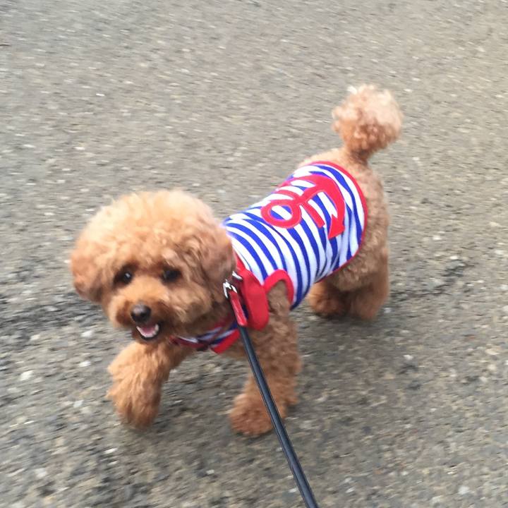 A27a793d fbd8 4aac bd32 a732666061c3