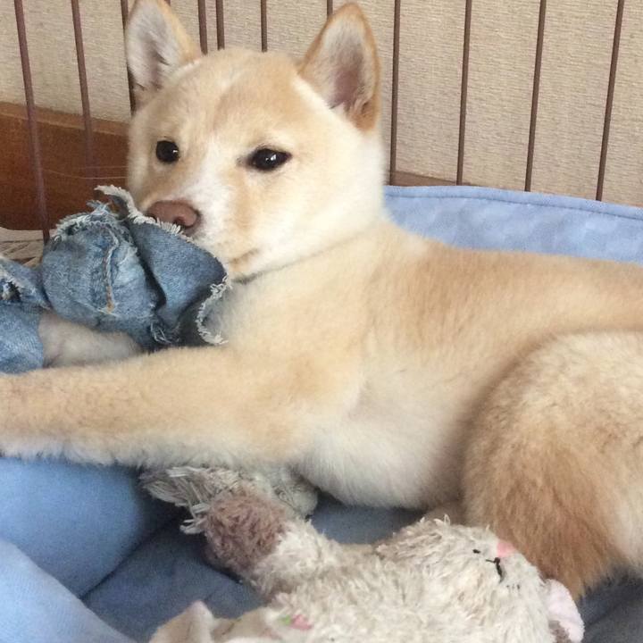 A27a9a73 71ce 4c14 9456 16476b824a25