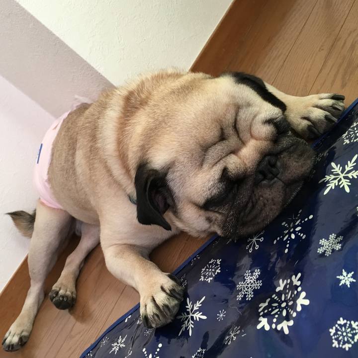 A27adb26 3594 4ca0 881a 1b5cdebbc851