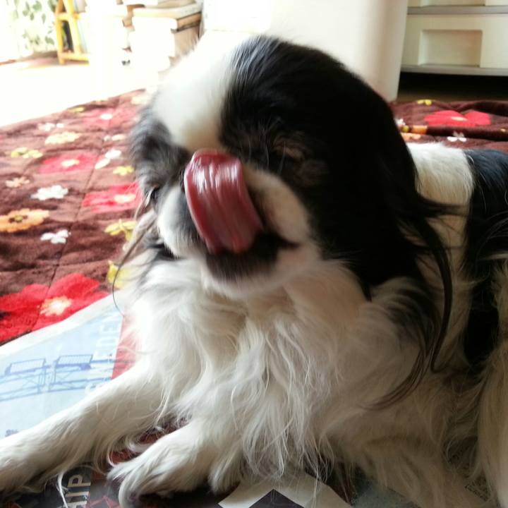 A27b47e4 cfed 4438 a2b0 9ea3d3389c8b