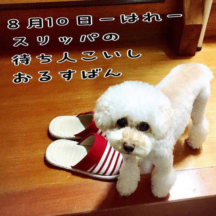 A27b5bf2 ecad 4449 8484 513b1b1edfce