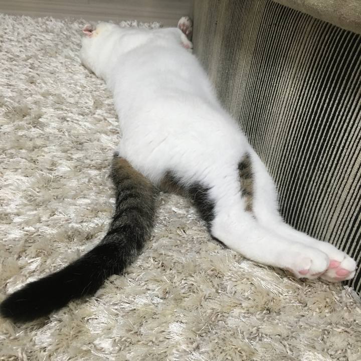 A27b62c6 05d4 448e 838d 2da18608688c