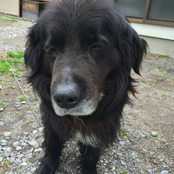 A27bdcc9 3530 4aee b749 7c025e9b5496