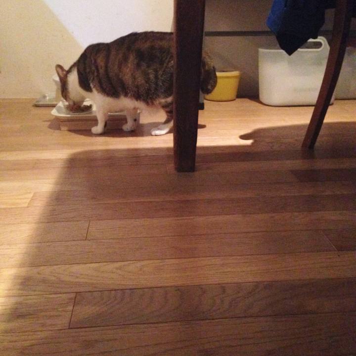 A27c3a44 6233 4380 ad01 ee58920de1d1