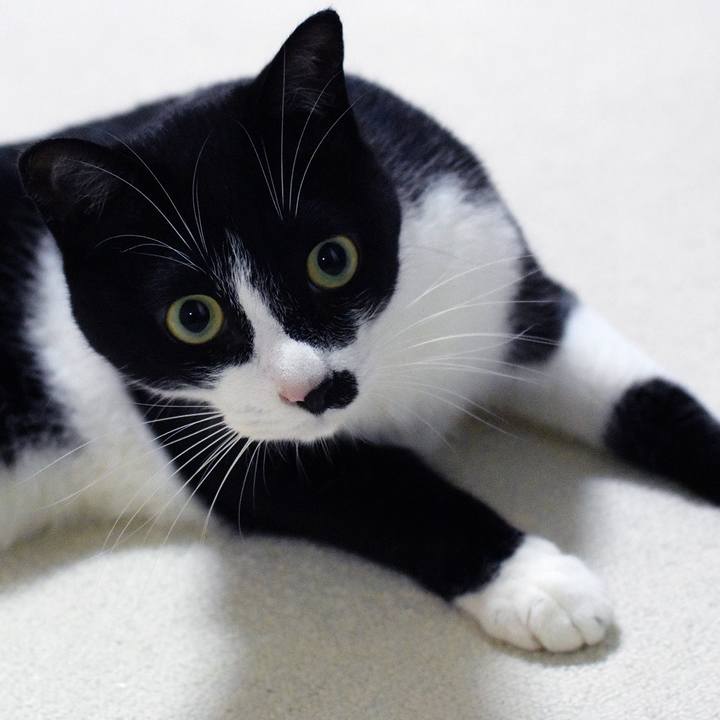 A27c5665 047b 431a 8fb2 34cf35488cda