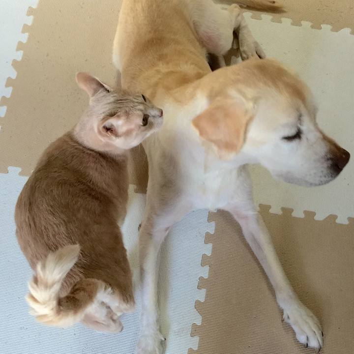 A27c7b3f 1a5a 4438 92fc 395f582eca87