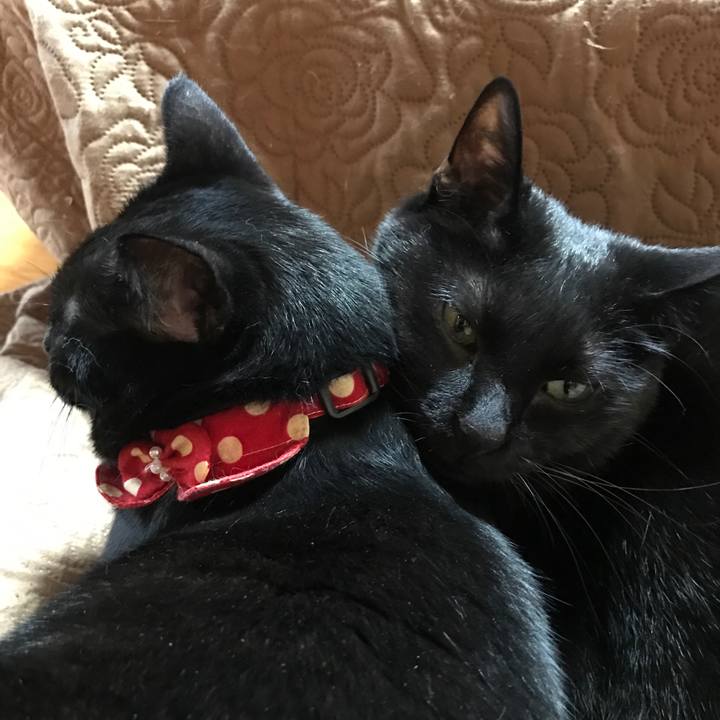 A27ca091 f9c6 4d9a 91a7 f1d128e10232