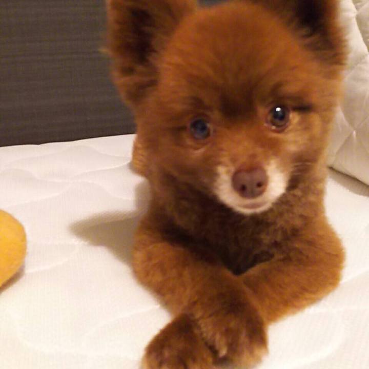 A27d7d64 0aeb 44ff a7f0 6b034e480a68