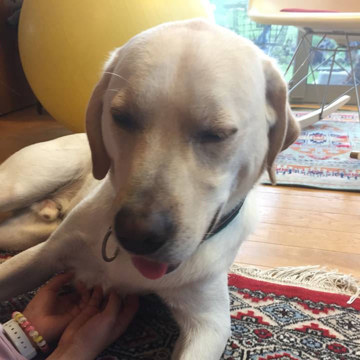 A27d8493 3dd5 4900 8332 2cdf0e0712e6