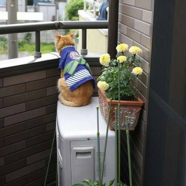 A27dda5d bc78 4212 a948 7a8ba5209d02