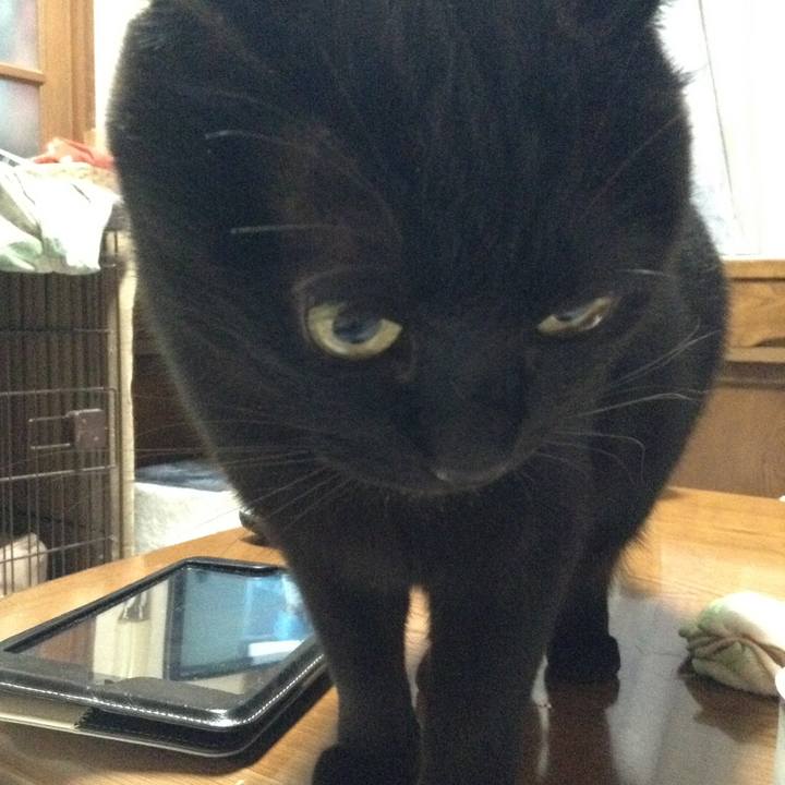 A27e840f d536 4051 86aa 08329628ef79