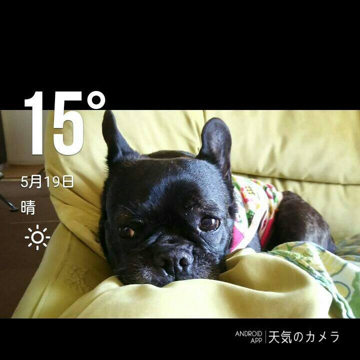 A27eaa72 255c 4bb2 89c4 d99c086ccdf8