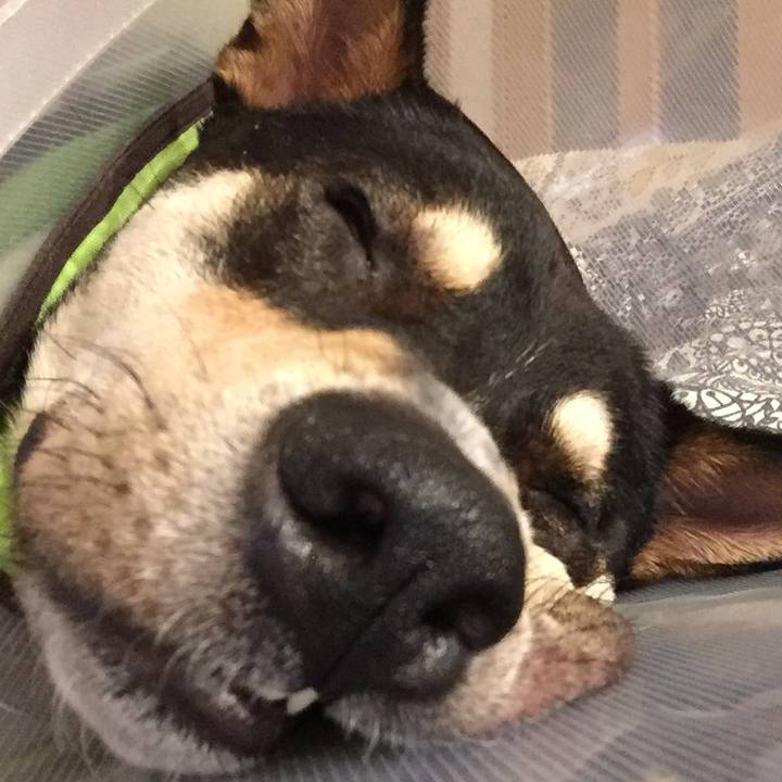 A27eae47 06a8 4f4a 952a 5d0fa1988dc9