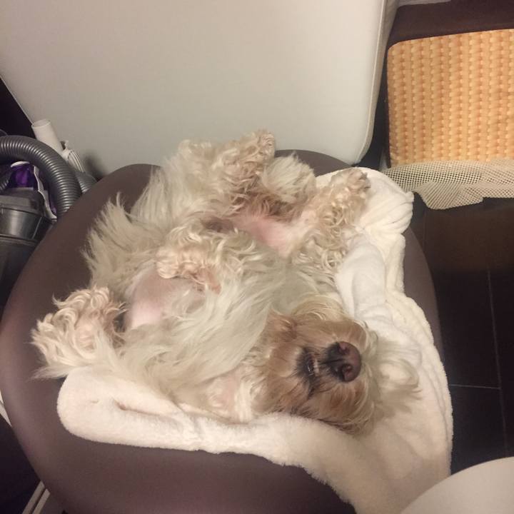 A27ed541 d3dc 44b5 b40b 94d5050ba231